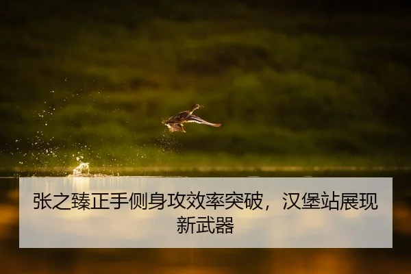 张之臻正手侧身攻效率突破，汉堡站展现新武器