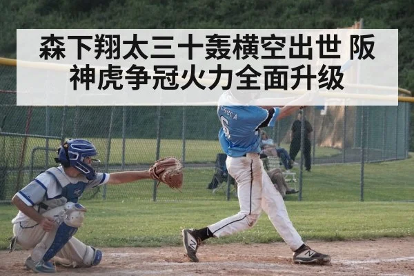 森下翔太三十轰横空出世 阪神虎争冠火力全面升级