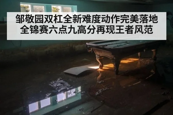 邹敬园双杠全新难度动作完美落地全锦赛六点九高分再现王者风范